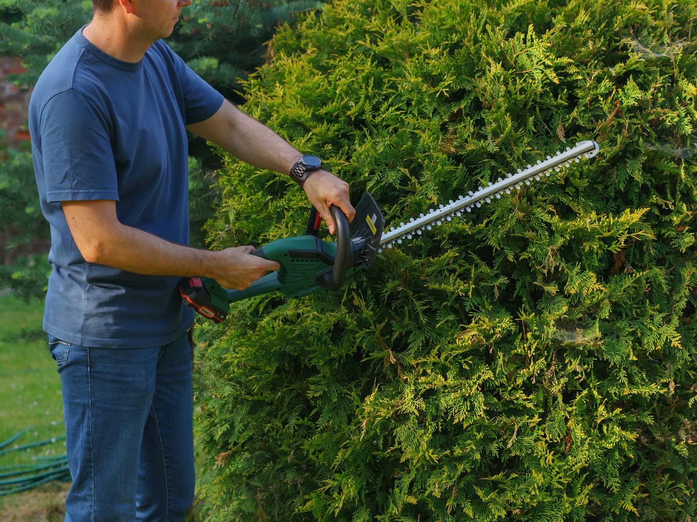 Boxwood hedges shaped into a neat rectangle along a Cross Creek Ranch walkway.